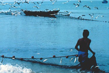 branding and packaging