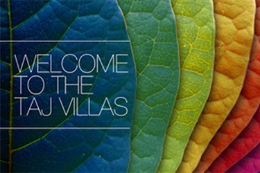 best branding agencies in Mumbai